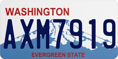 WA license plate AXM7919