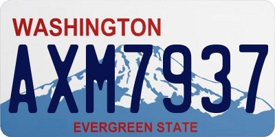 WA license plate AXM7937