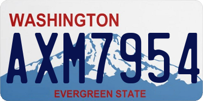 WA license plate AXM7954
