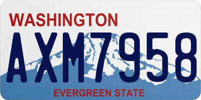 WA license plate AXM7958