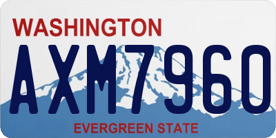 WA license plate AXM7960