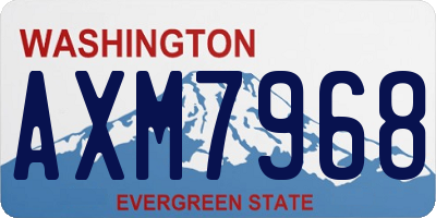 WA license plate AXM7968