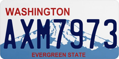 WA license plate AXM7973