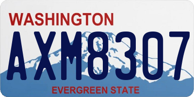 WA license plate AXM8307