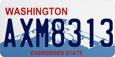 WA license plate AXM8313