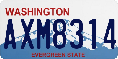 WA license plate AXM8314