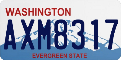 WA license plate AXM8317