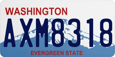 WA license plate AXM8318