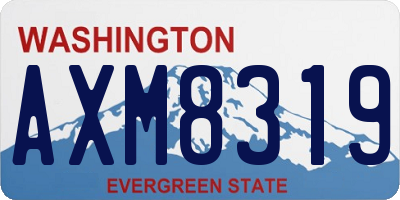 WA license plate AXM8319