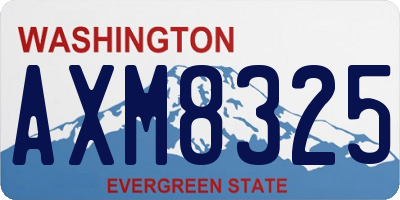 WA license plate AXM8325