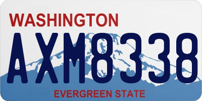 WA license plate AXM8338