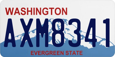 WA license plate AXM8341