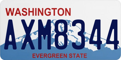 WA license plate AXM8344
