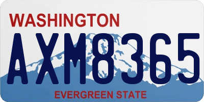 WA license plate AXM8365