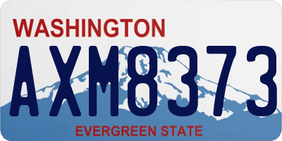 WA license plate AXM8373