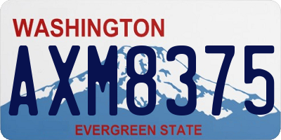 WA license plate AXM8375