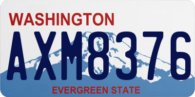 WA license plate AXM8376