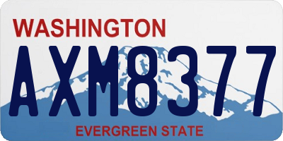 WA license plate AXM8377