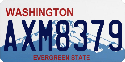 WA license plate AXM8379