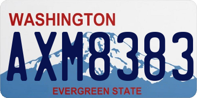 WA license plate AXM8383