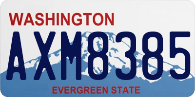 WA license plate AXM8385