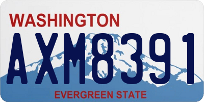WA license plate AXM8391