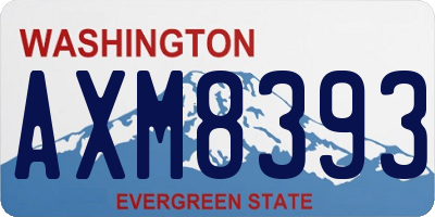 WA license plate AXM8393