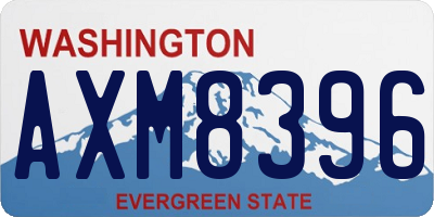 WA license plate AXM8396