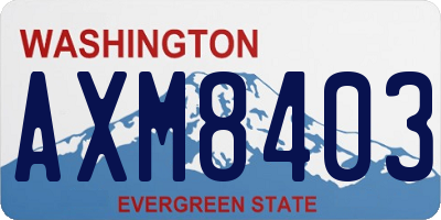 WA license plate AXM8403