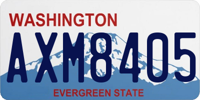 WA license plate AXM8405