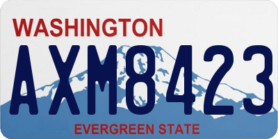 WA license plate AXM8423