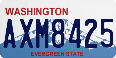 WA license plate AXM8425