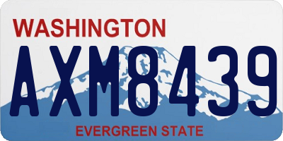 WA license plate AXM8439