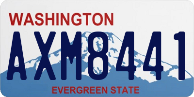 WA license plate AXM8441