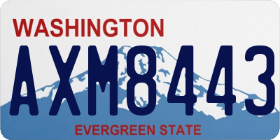 WA license plate AXM8443