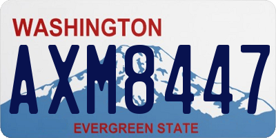 WA license plate AXM8447