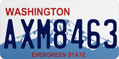 WA license plate AXM8463