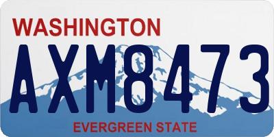 WA license plate AXM8473