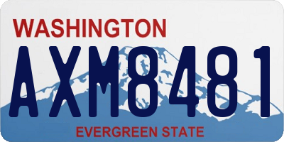 WA license plate AXM8481