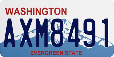WA license plate AXM8491