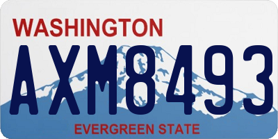 WA license plate AXM8493