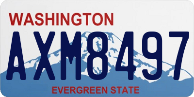 WA license plate AXM8497