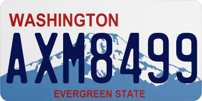 WA license plate AXM8499
