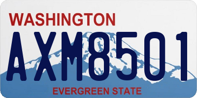 WA license plate AXM8501