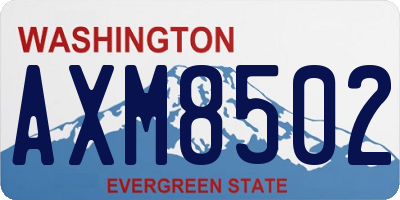 WA license plate AXM8502