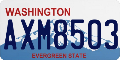 WA license plate AXM8503