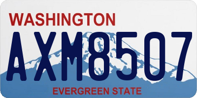 WA license plate AXM8507