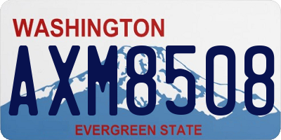 WA license plate AXM8508