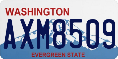 WA license plate AXM8509