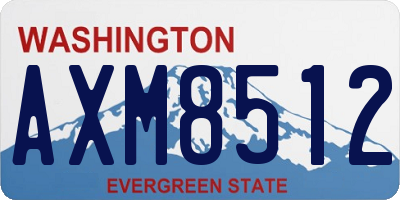 WA license plate AXM8512